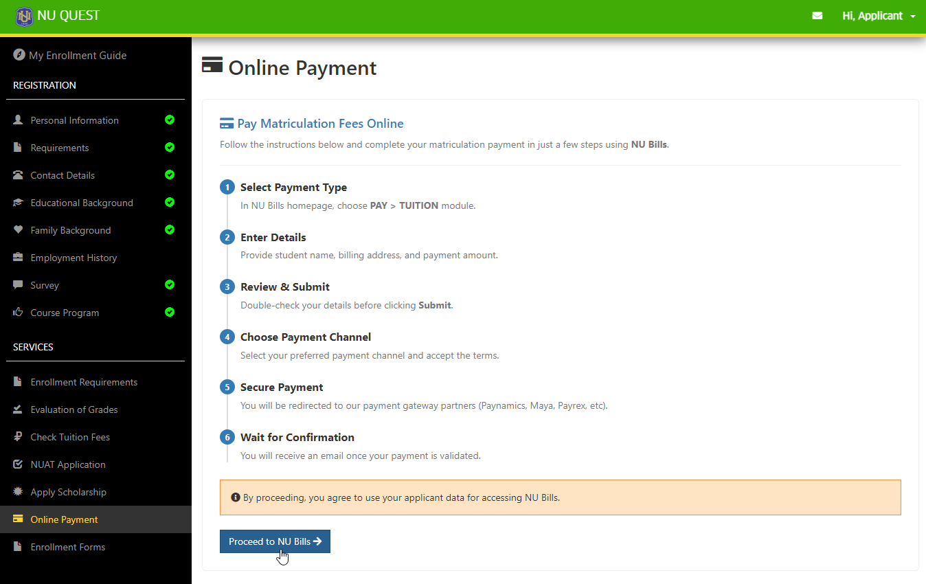 Online Payment