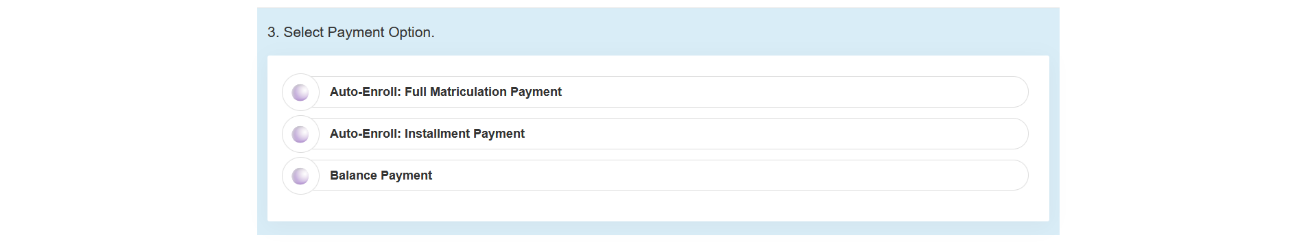 payment option